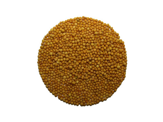 horčica. 100 gr